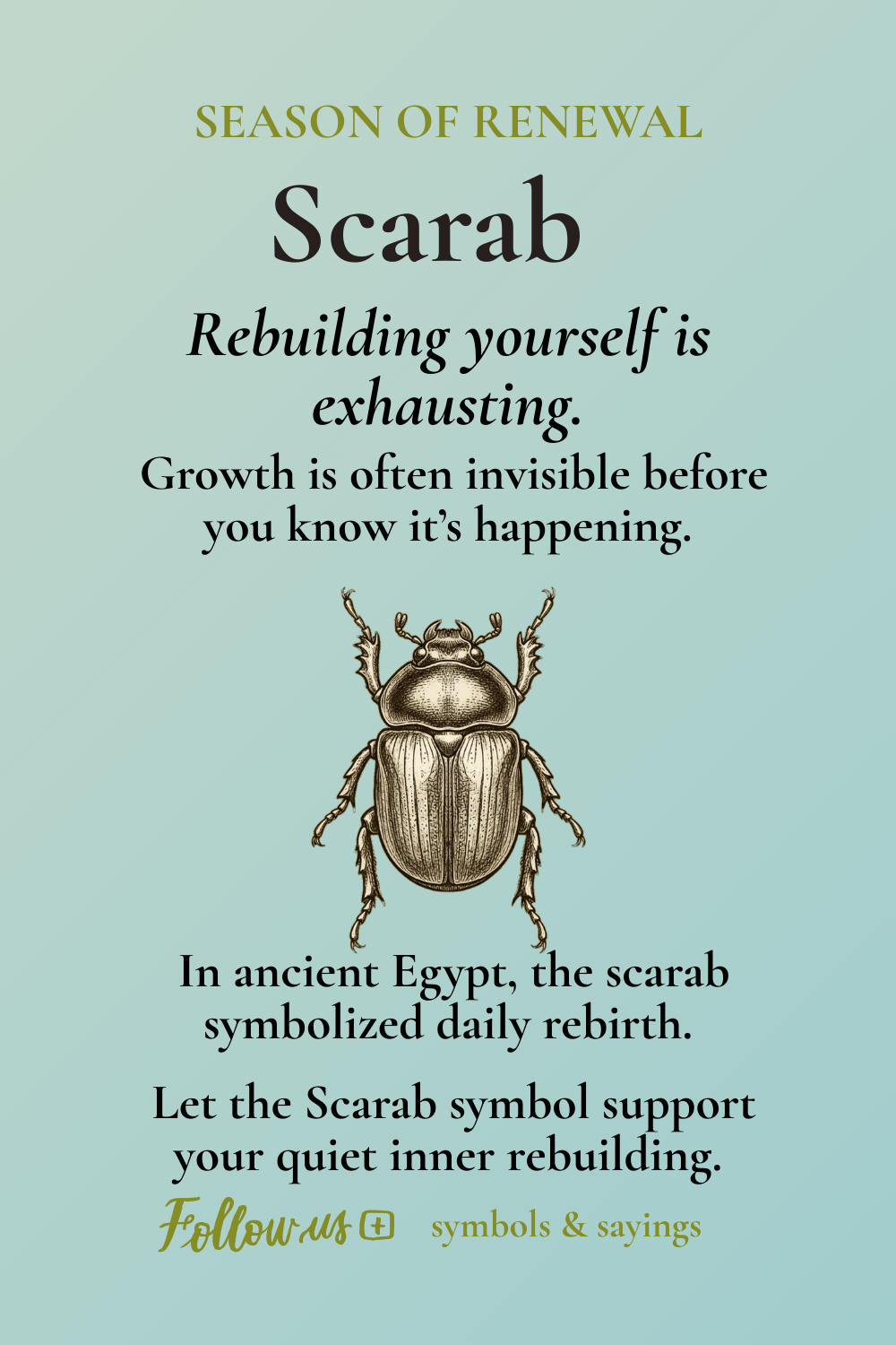 The Scarab — Renewal, Strength, and Rising Again | Inspirational Enamel Mug