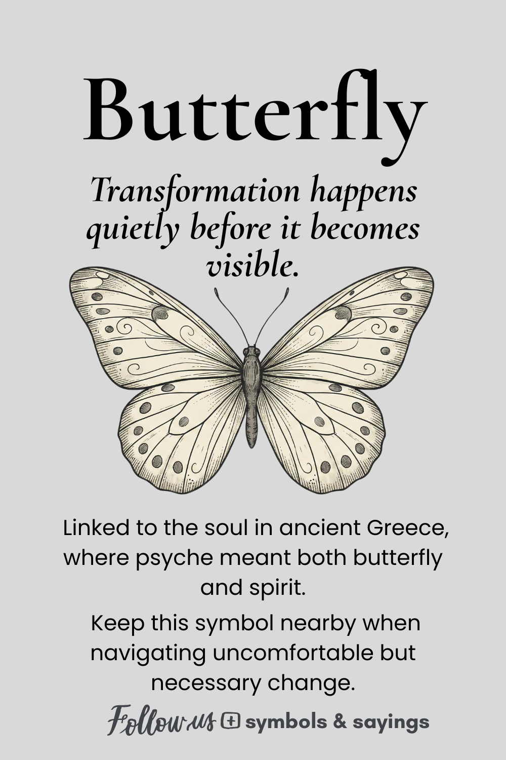 Minimal Butterfly Symbol T-Shirt | Quiet Transformation Design