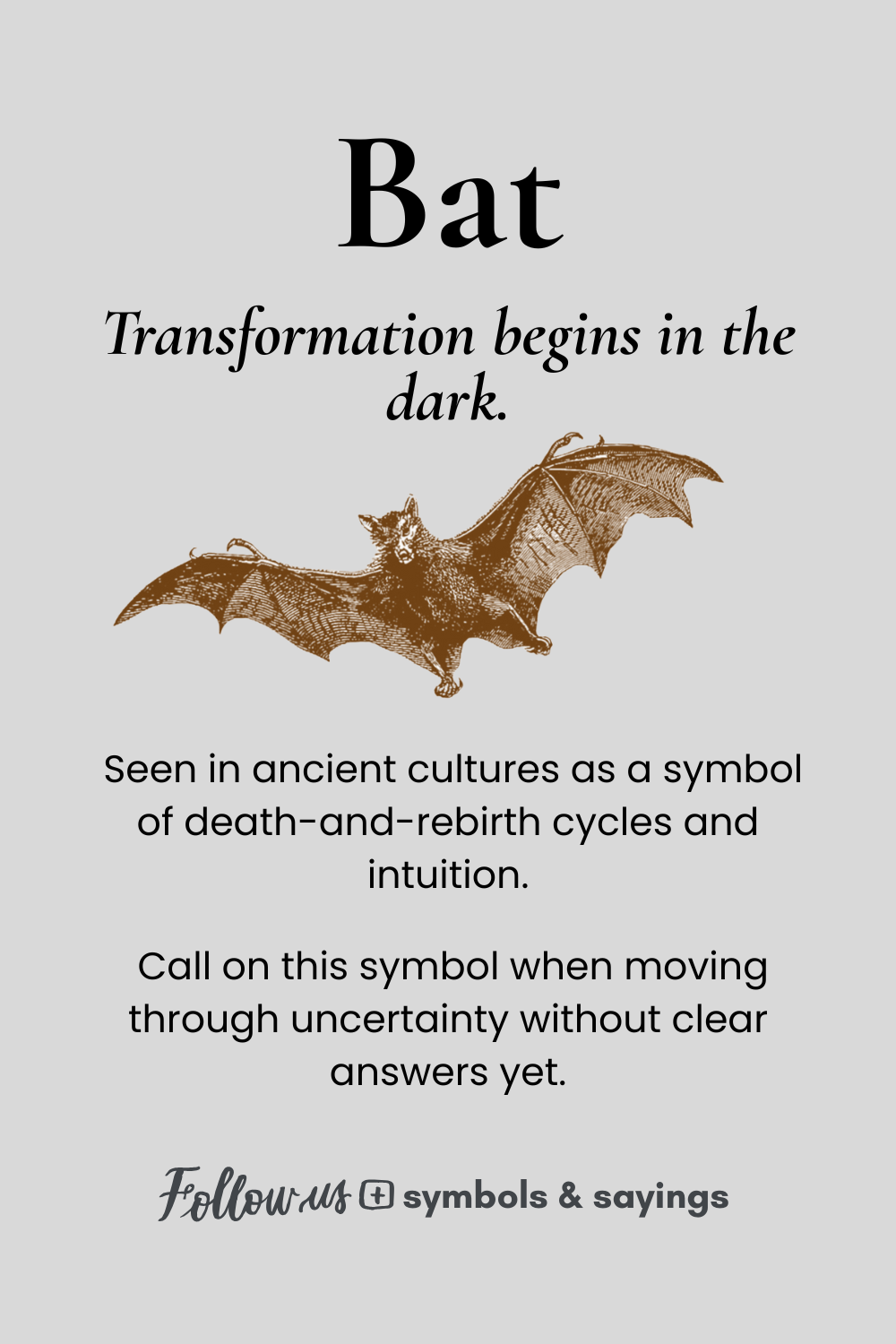 Minimal Bat Symbol T-Shirt | Transformation & Intuition