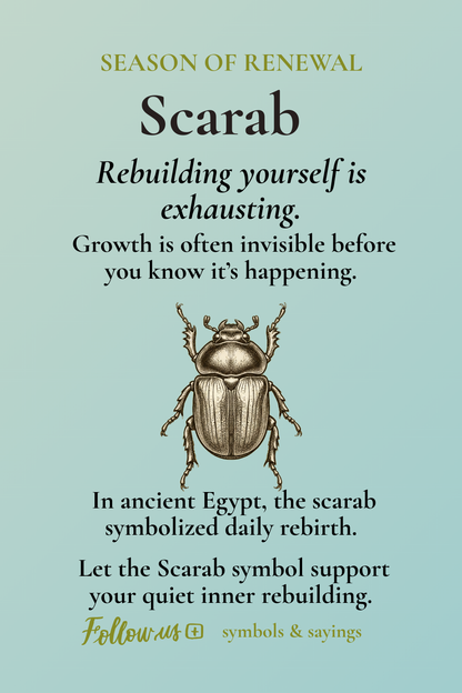 The Scarab — Renewal, Strength, and Rising Again | Inspirational Enamel Mug